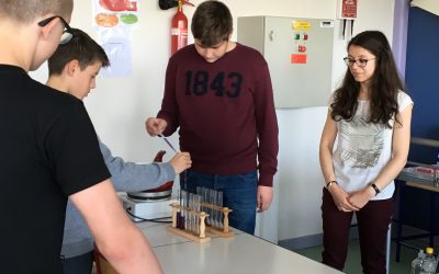 Ateliers Collège Le Ried -  30 mars 2017