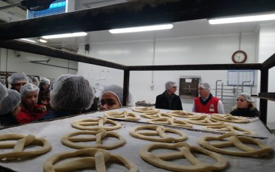 Visite Auchan Hautepierre 2017 - Collège Truffaut et Erasme